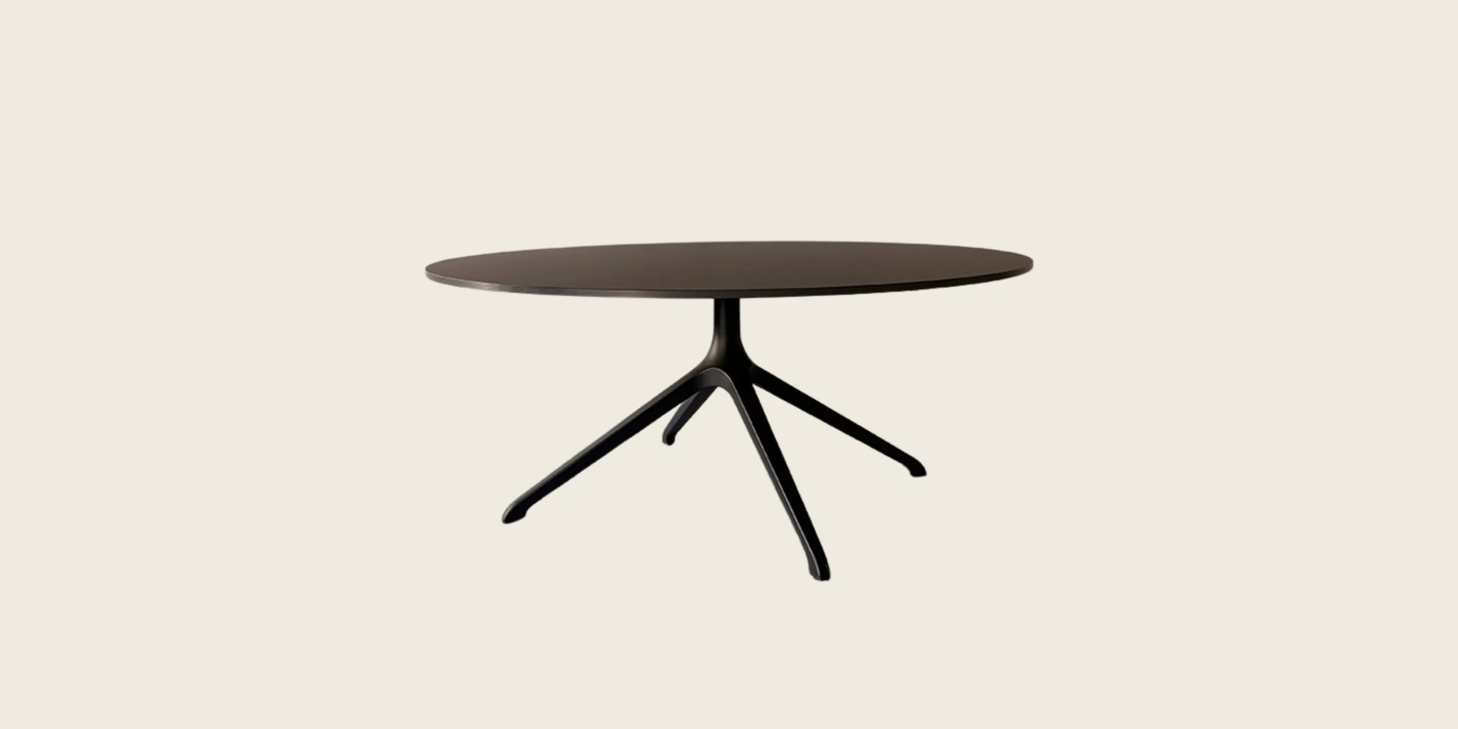 Elephant Coffee Table - In Stock